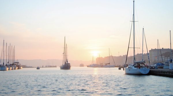 Agence sea à lille : leviers de croissance pour les entreprises locales